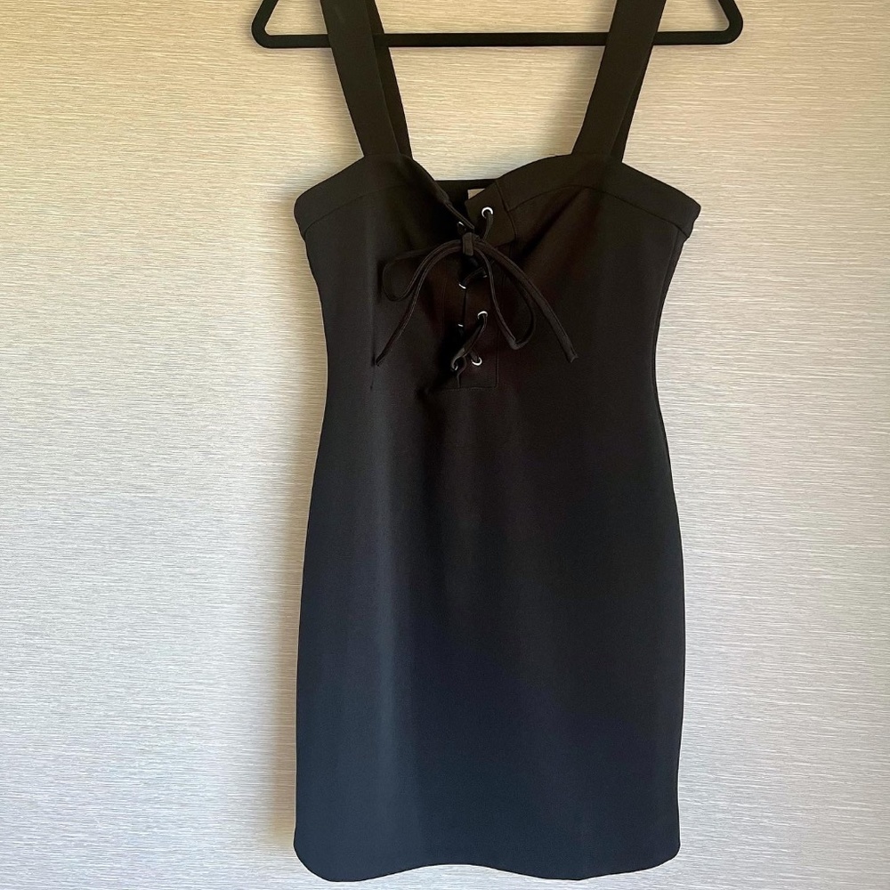 Capulet Cara Lace Front Mini Dress